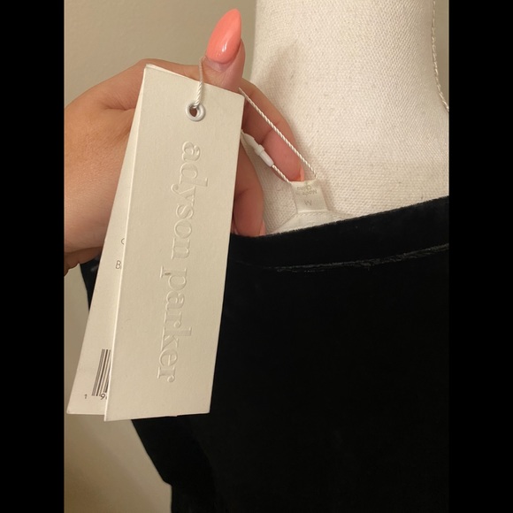 Adyson Parker Velvet Dress - Picture 5 of 6